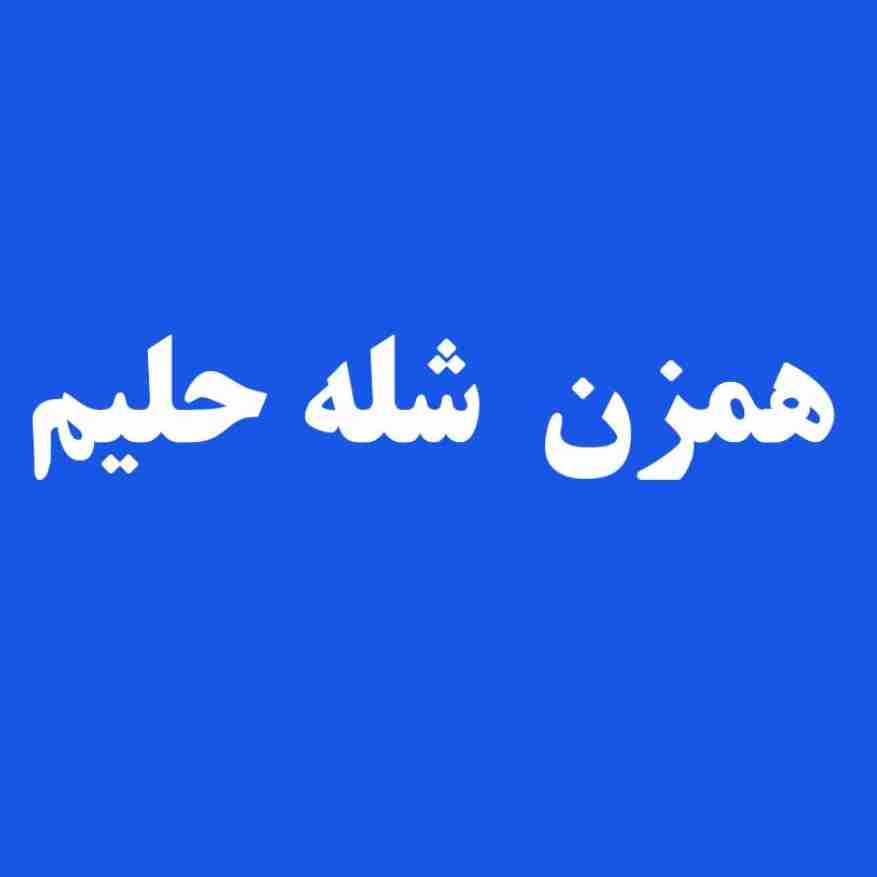 همزن شله حلیم